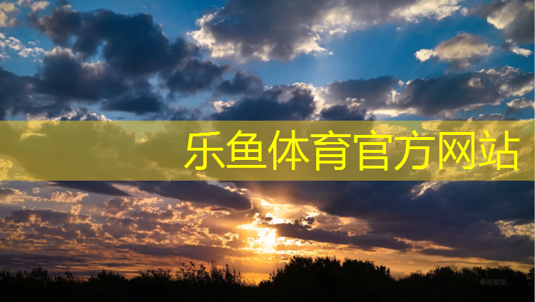 乐鱼体育,迪卡侬家用健腹轮