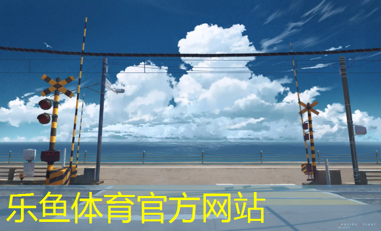 乐鱼体育官方网站,网球网前引拍动作