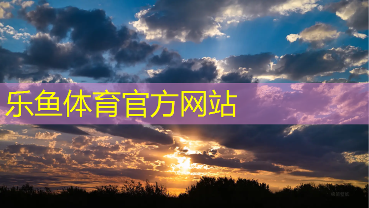 乐鱼体育,岱岳区塑胶跑道设计施工