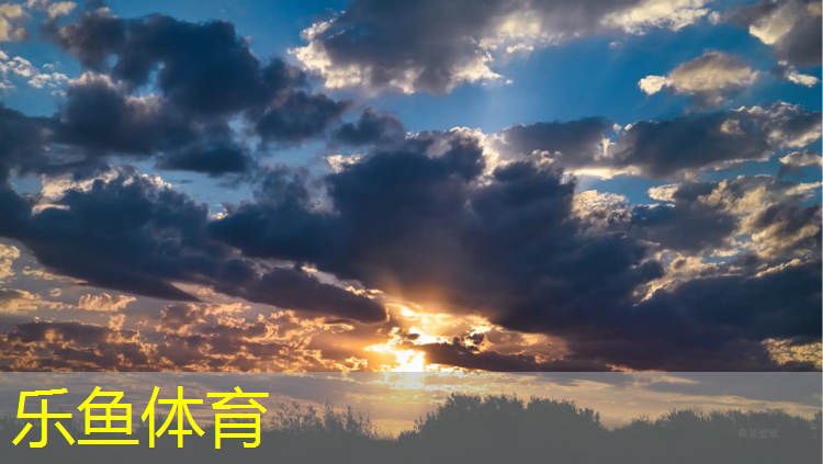 leyu·乐鱼(中国)体育官方网站,18定额塑胶跑道套什么