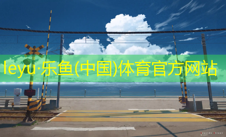 <strong>乐鱼体育,学校塑胶跑道都有什么款式</strong>