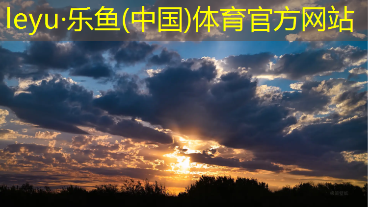 迪卡侬家用健腹轮