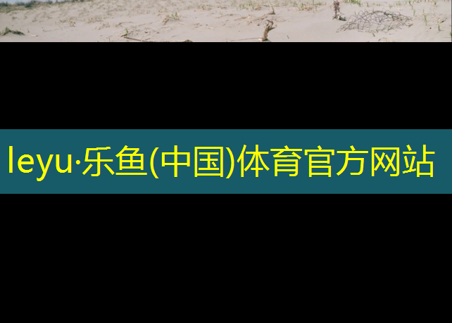 2019网球网