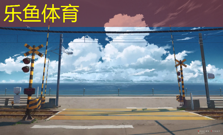 学校塑胶跑道都有什么款式